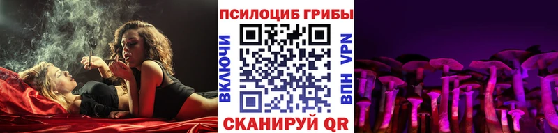 Псилоцибиновые грибы Cubensis  Правдинск 